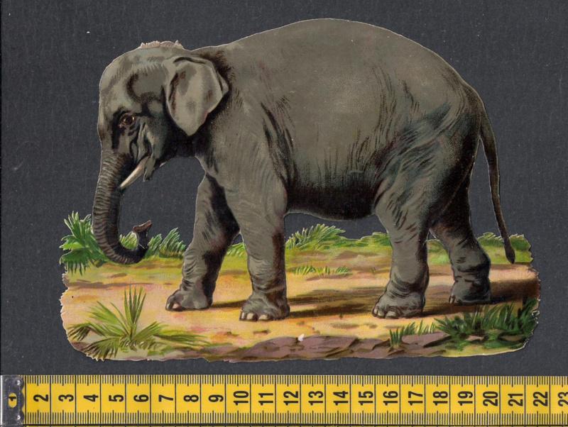 Olifant stapt rond antiek poezieplaatje (598), Ophalen of Verzenden