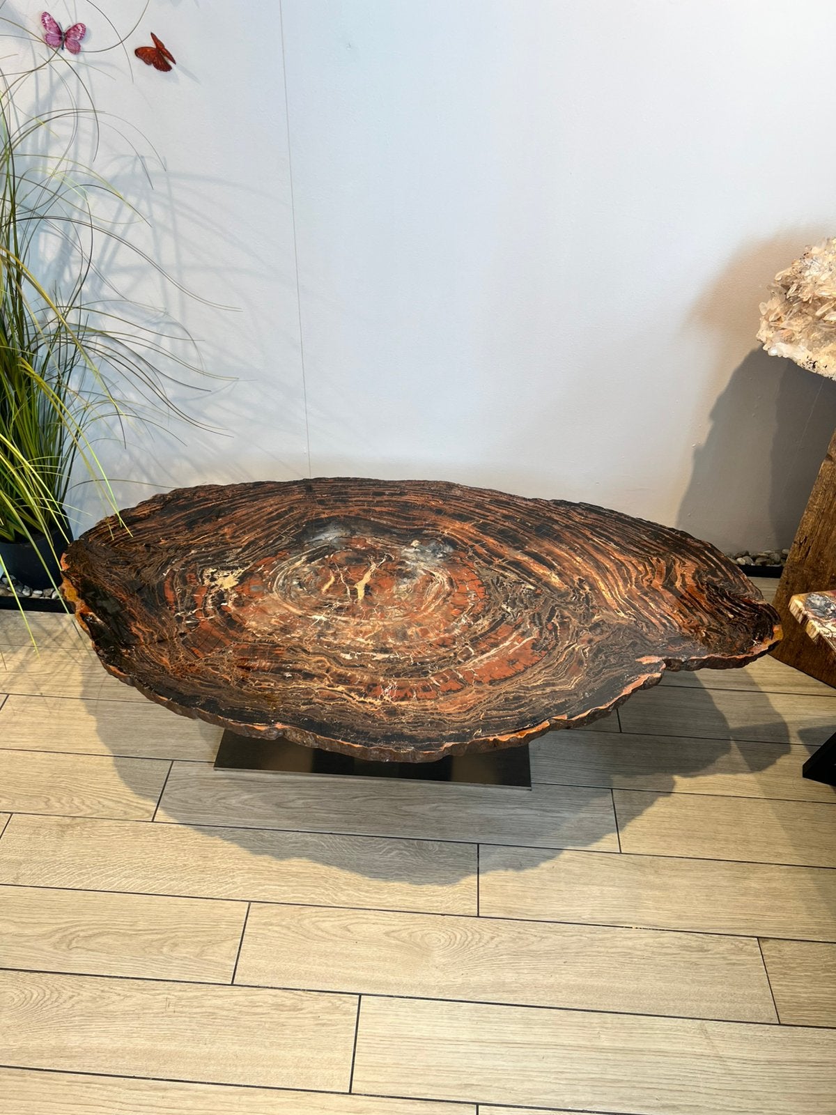 Exclusieve salontafel van versteend hout Arizona, Ophalen of Verzenden