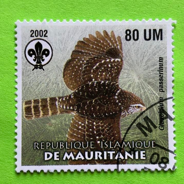 Uil, Ophalen of Verzenden, Gestempeld