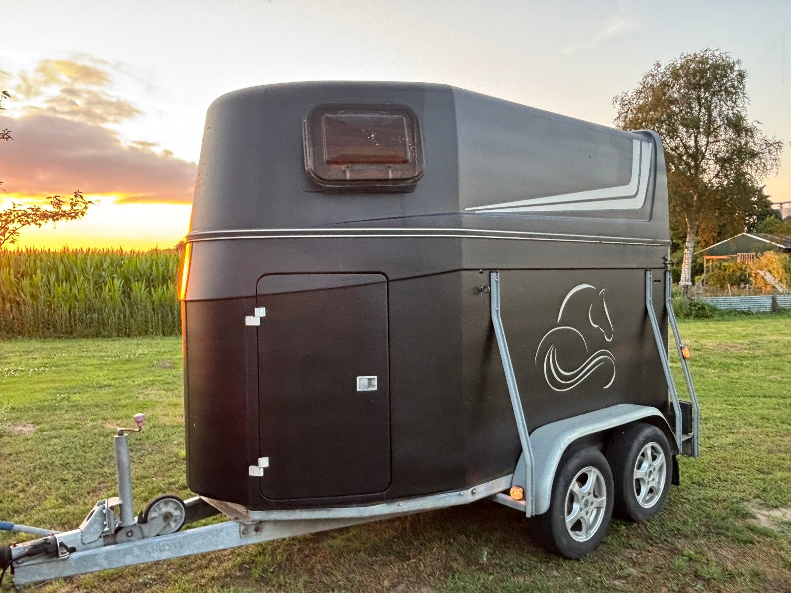 2 paards trailer, Dieren en Toebehoren, Ophalen, Gebruikt, Polyester, 2-paards trailer