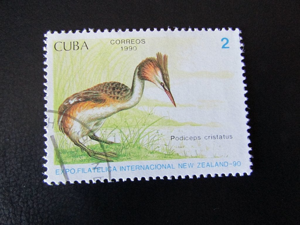 Postzegel Vogel: Fuut uit Cuba, Ophalen of Verzenden, Gestempeld, Dier of Natuur