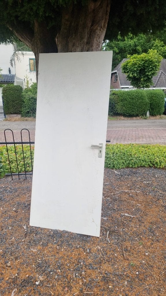 branddeur, Doe-het-zelf en Verbouw, Gebruikt, 80 tot 100 cm, Binnendeur, 200 tot 215 cm