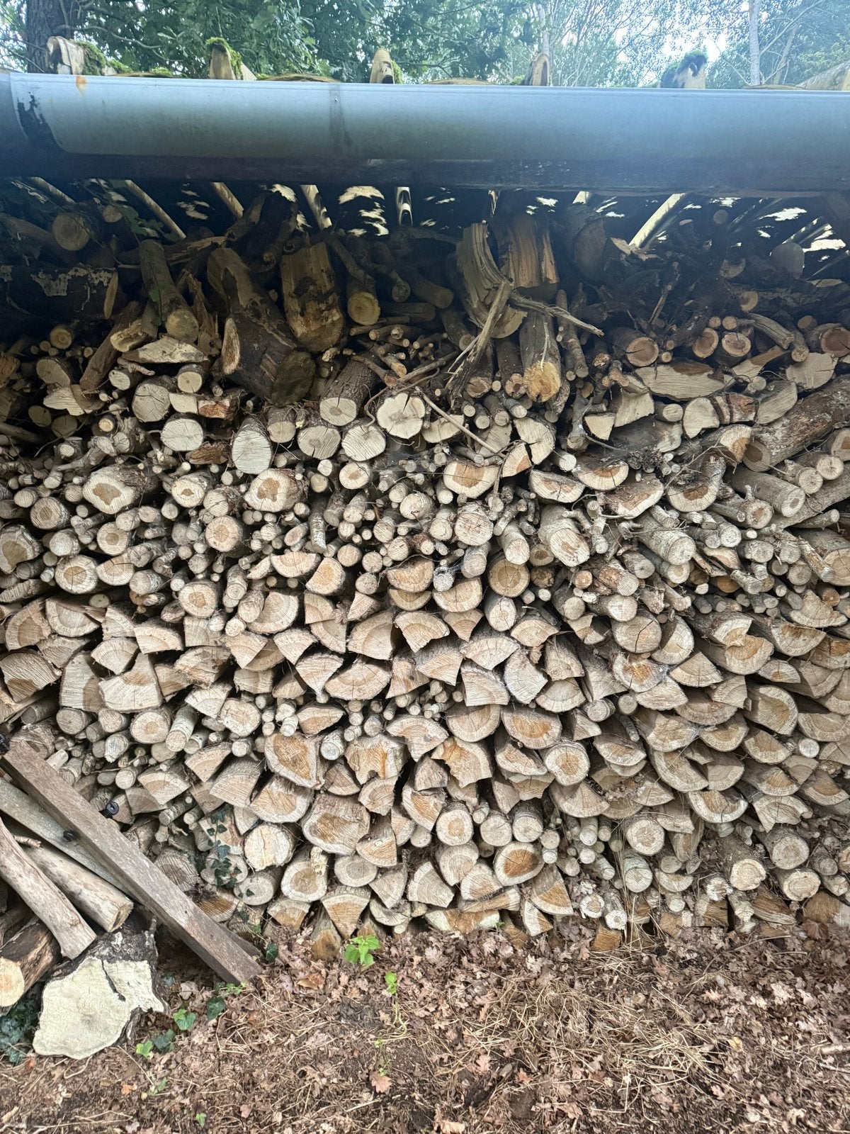 Haardhout gemengd: robinia, eik, beuk, berk, populier, naald, Tuin en Terras, 6 m³ of meer, Ophalen, Overige houtsoorten, Stammen