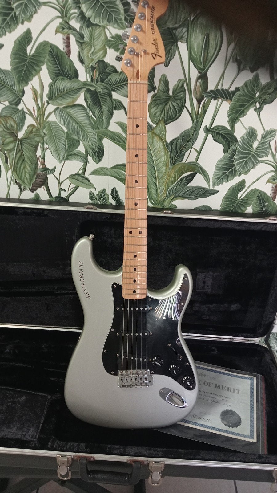 Fender Stratocaster Silver Anniversary 1979, Muziek en Instrumenten, Ophalen, Zo goed als nieuw, Solid body, Fender