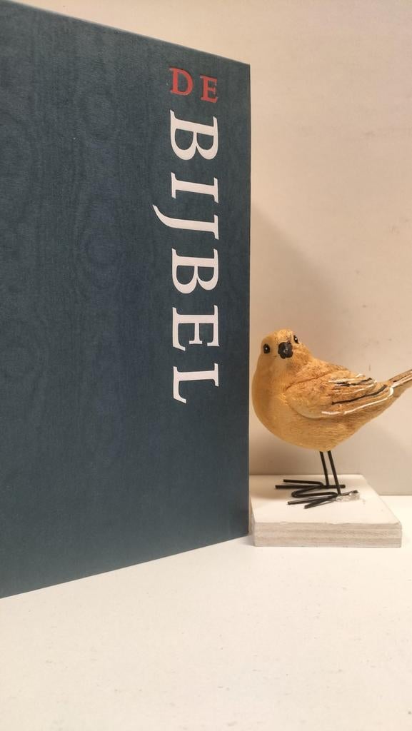 Bijbel, Nieuwe Bijbelvertaling (Querido/Jongbloed), Ophalen of Verzenden, Gelezen, Christendom | Katholiek