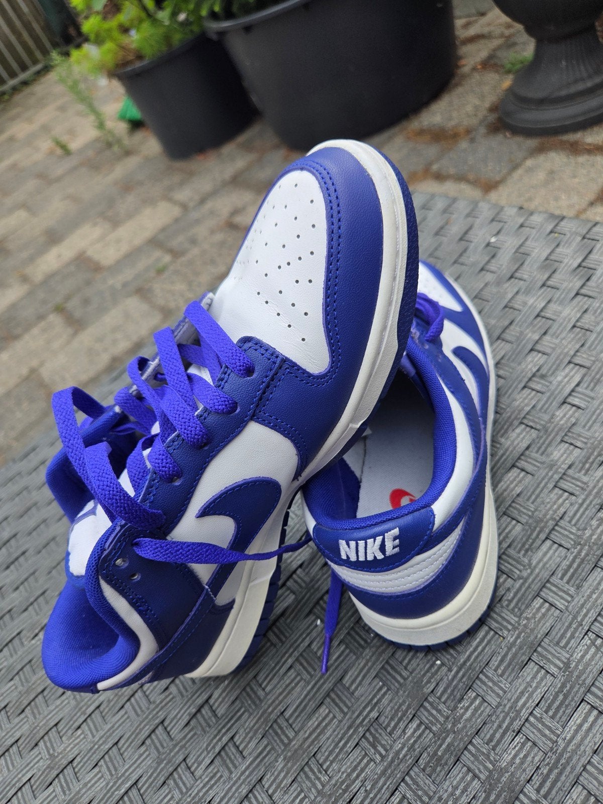 Nieuwe Nike Dunk Low - Maat 42 - Blauw/Wit, Ophalen, Blauw, Nike, Nieuw