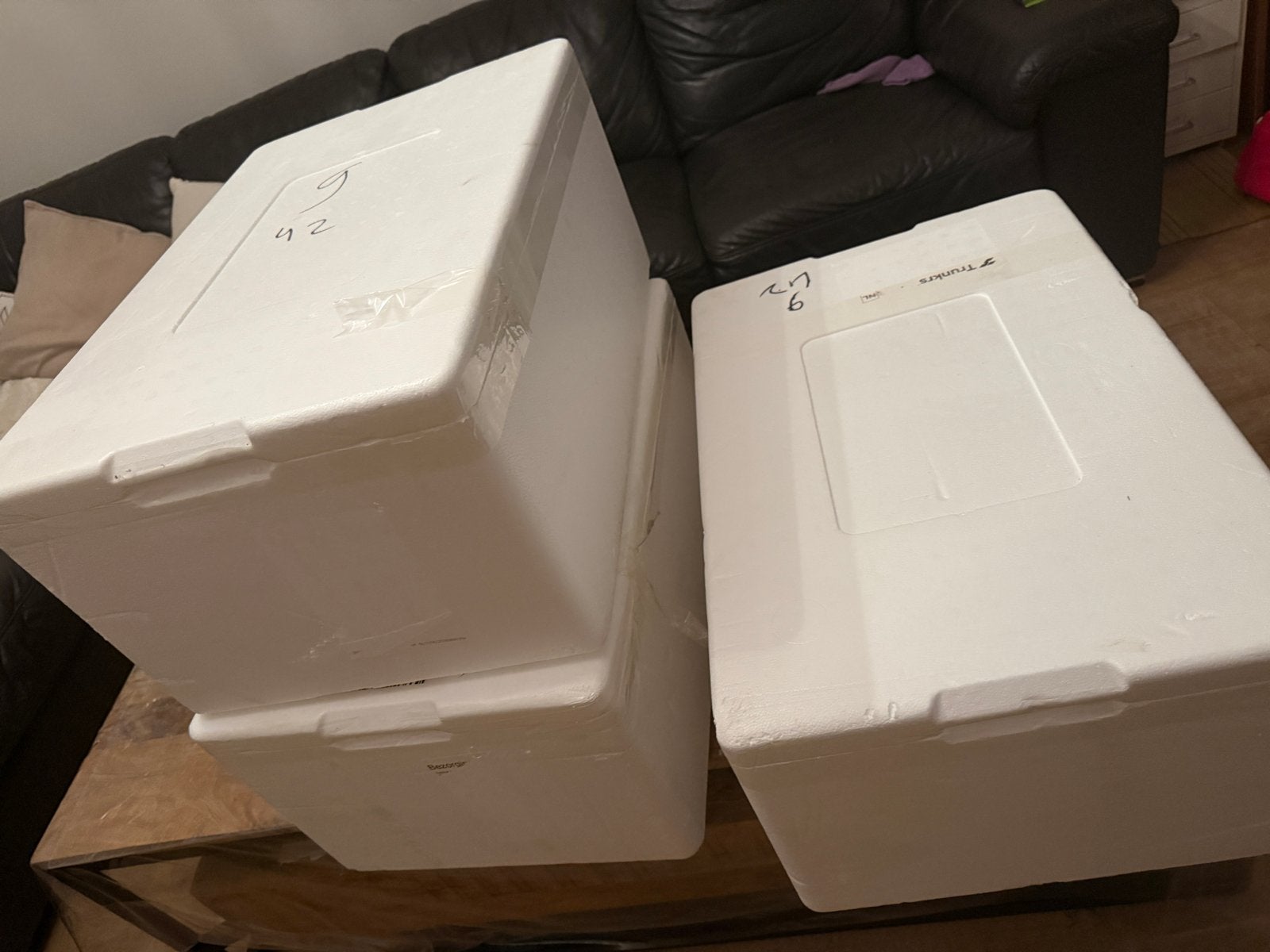 3 euro !Piepschuim Diepvries Boxen, Ophalen of Verzenden, Gebruikt