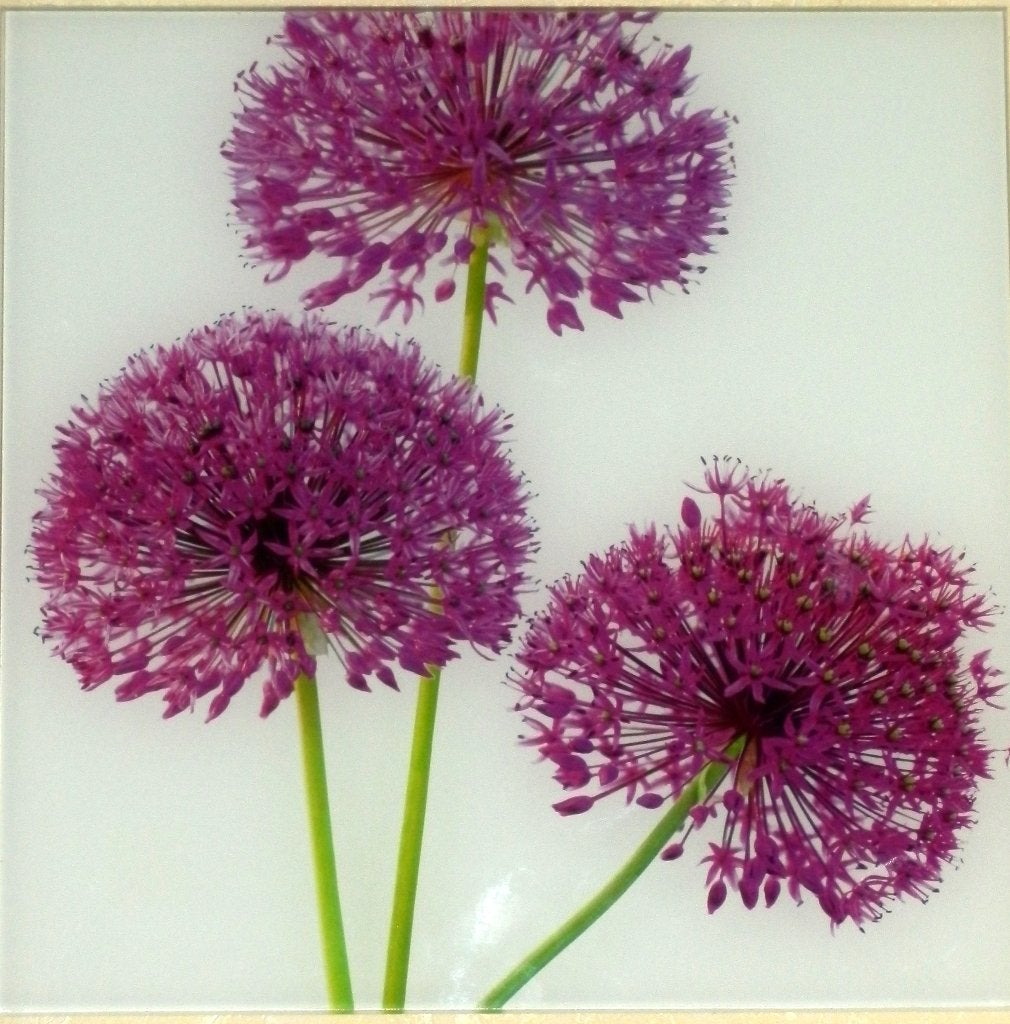 3 glazen schilderijen met bloemen afbeelding, Ophalen of Verzenden, Zo goed als nieuw, Minder dan 50 cm, Schilderij