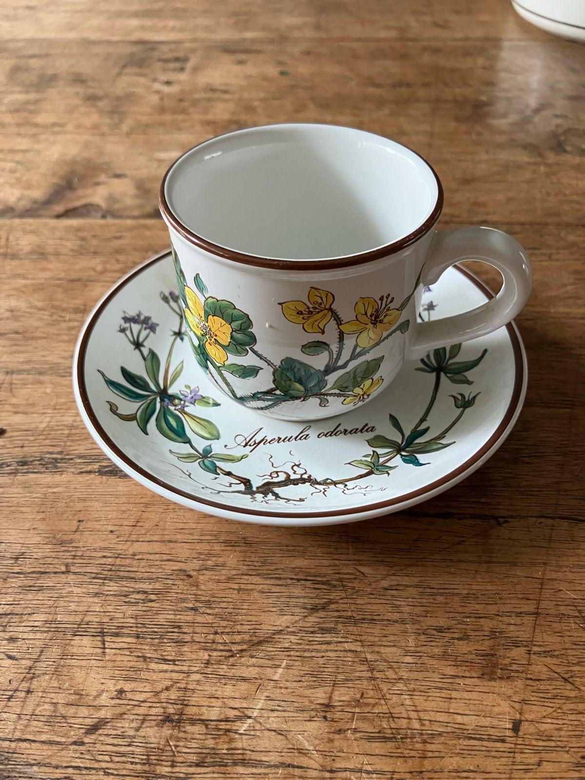 Espresso kopje Villeroy & Boch Botanica, Ophalen, Villeroy & Boch, Vintage, Zo goed als nieuw