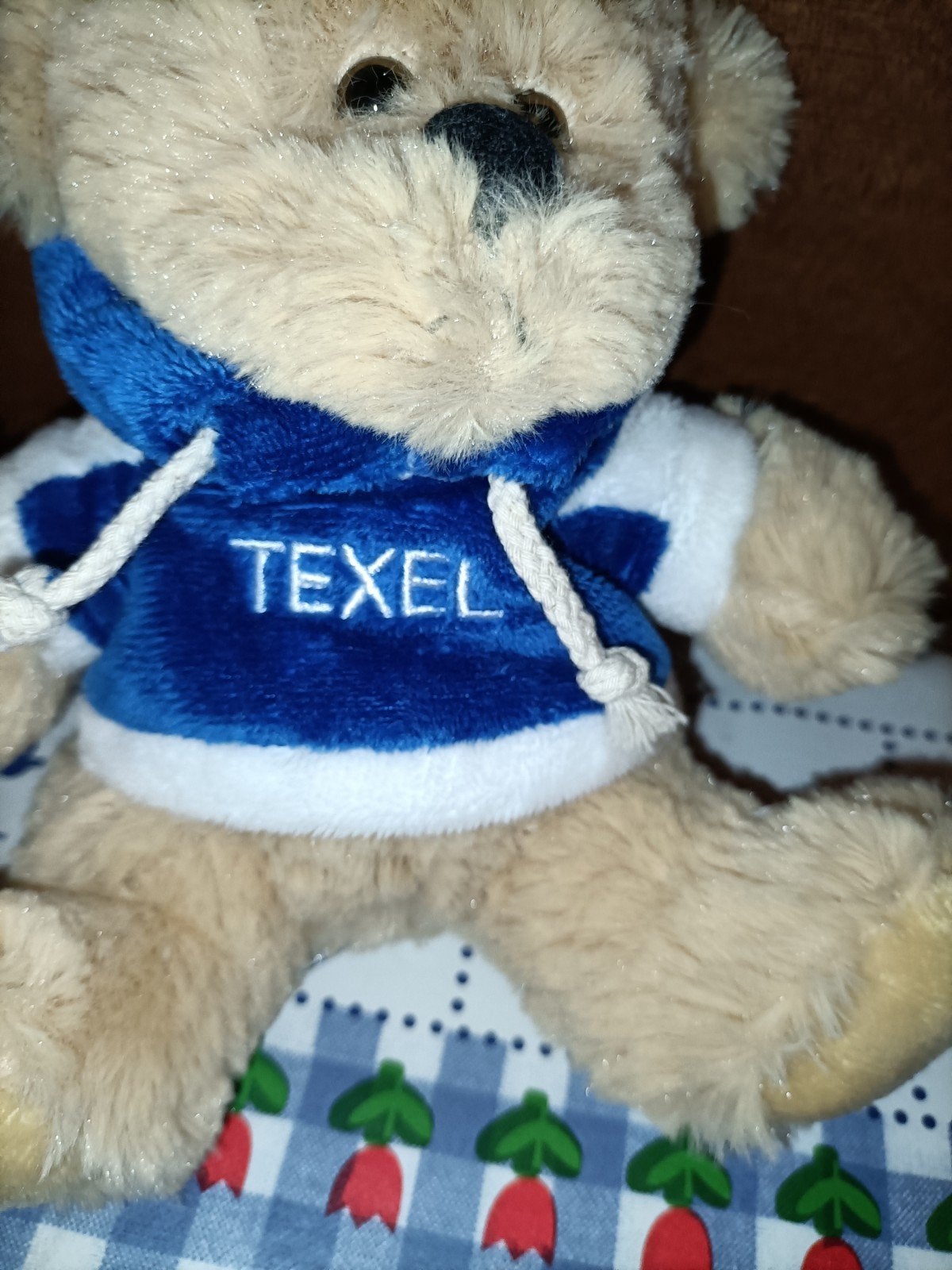 Texel beer knuffel 19 cm groot, Ophalen of Verzenden, Zo goed als nieuw, Beer