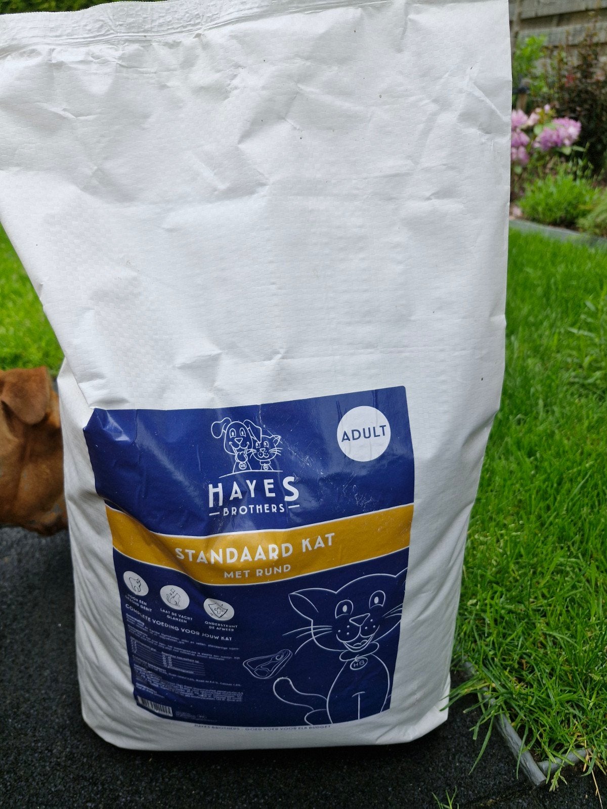 Hayes Brothers 10 kg kattenbrokken, Dieren en Toebehoren, Ophalen, Kat