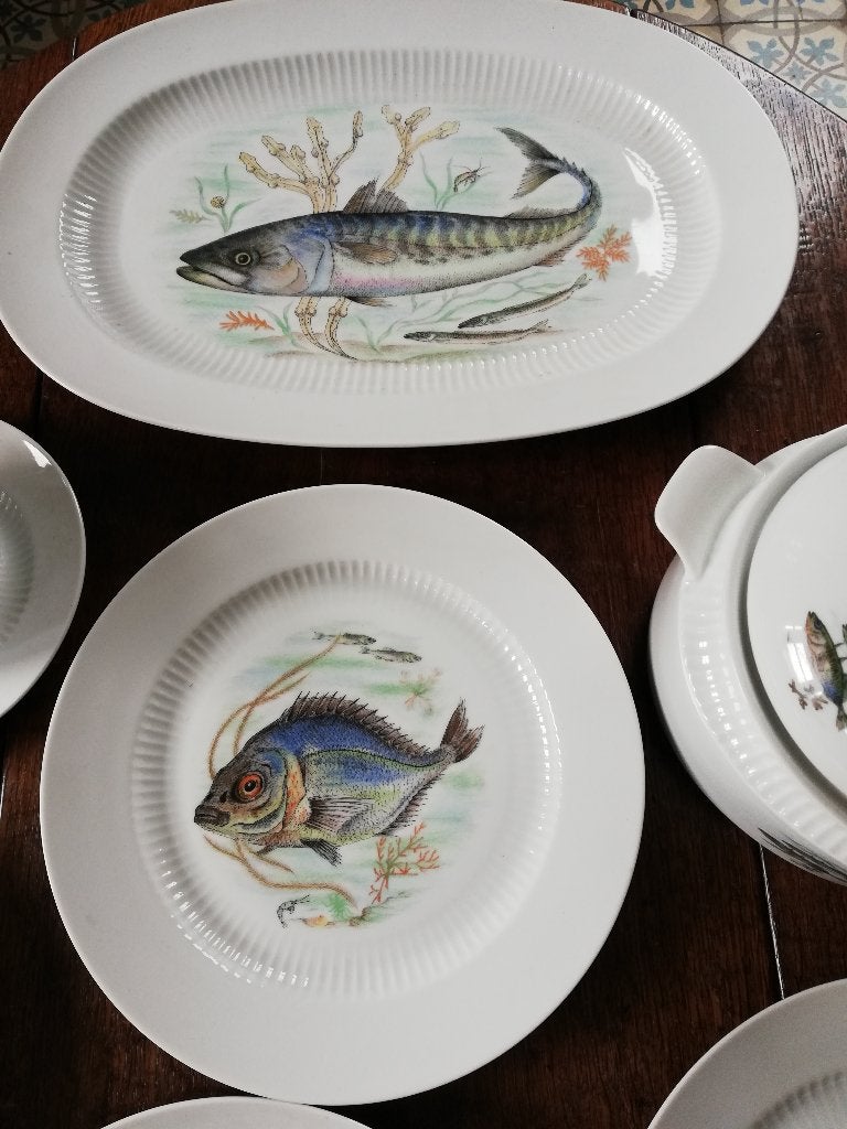 6 pers visservies incl (dek)schalen, sauskom, GROTE borden, Ophalen, Zo goed als nieuw, Bord(en), Overige stijlen