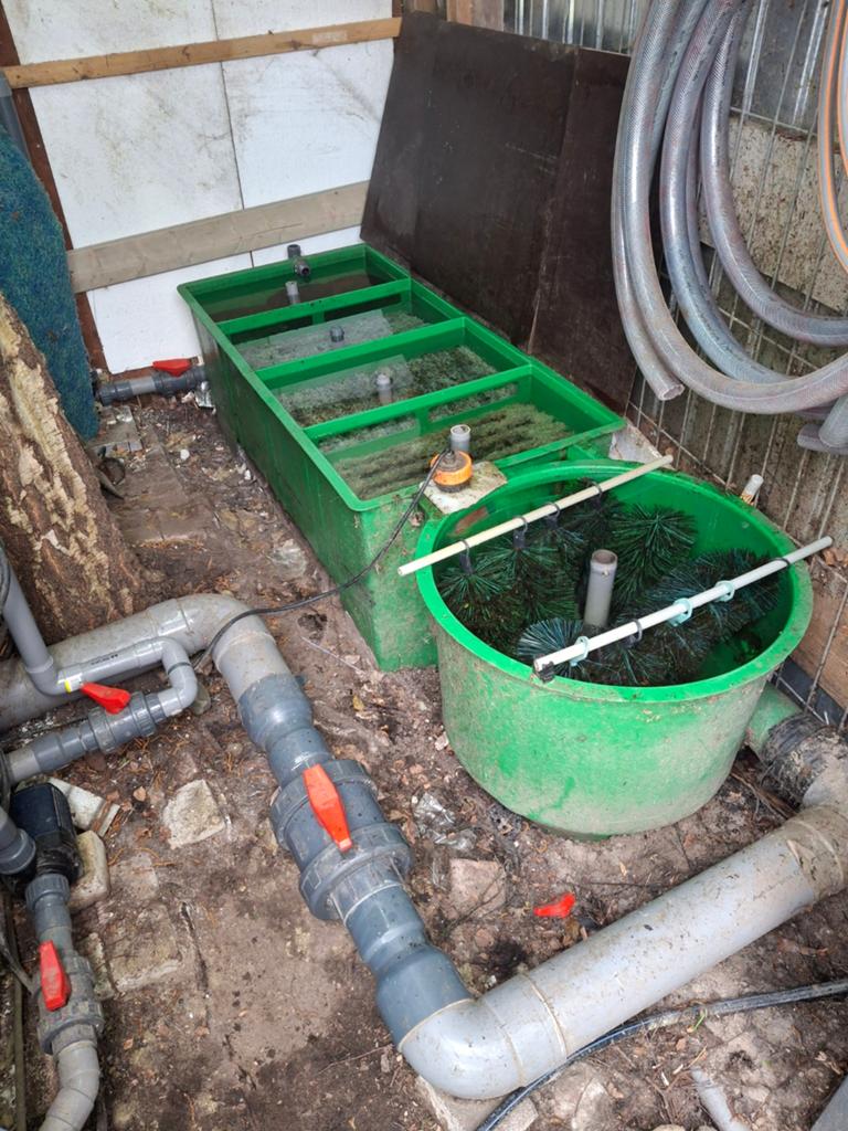4 kamerfilter met vortex, Karper of Koi