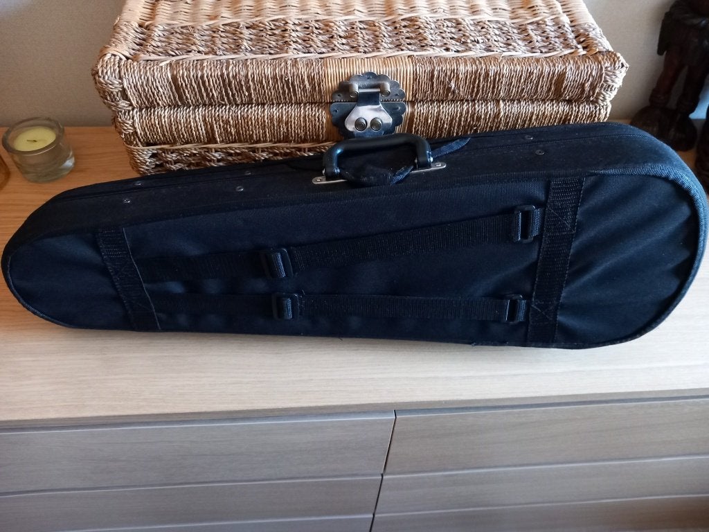Zwarte vioolkoffer, zo goed als nieuw., Ophalen of Verzenden, Zo goed als nieuw, Viool of Altviool