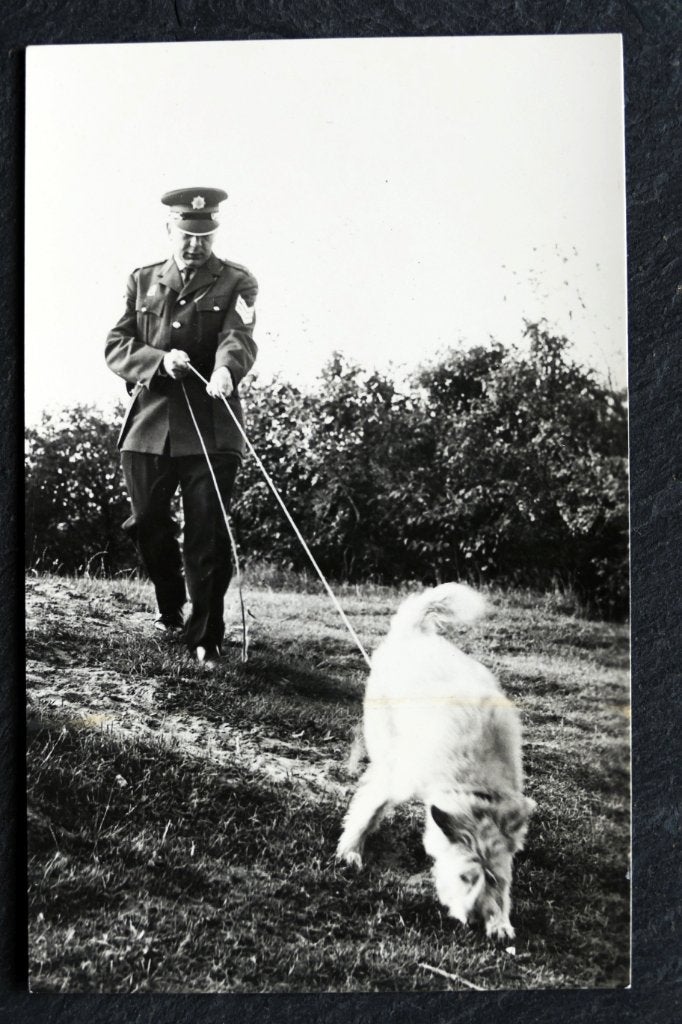 Politieman met speurhond, Gemeentepolitie Den Haag, Verzamelen, Verzenden, 1940 tot 1960, Ongelopen, Ambachten of Beroep