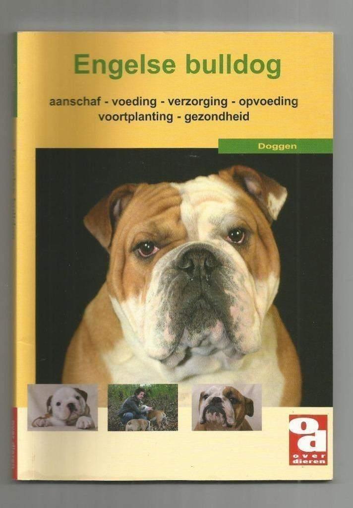 Engelse bulldog, Boeken, Dieren en Huisdieren, Nieuw, Honden, Ophalen of Verzenden