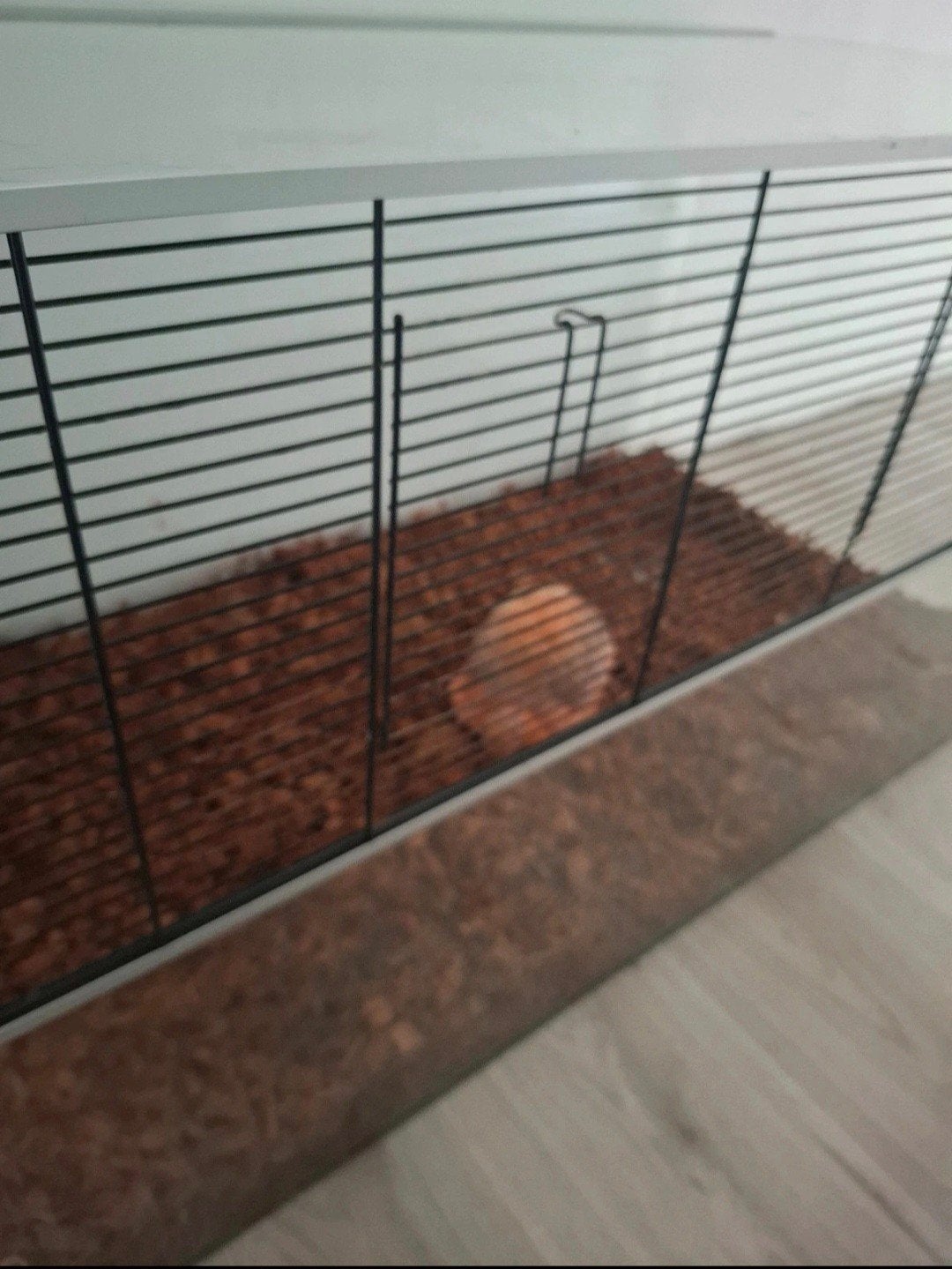 terrarium voor knaagdier of reptielen, Ophalen, Zo goed als nieuw, Terrarium of Paludarium