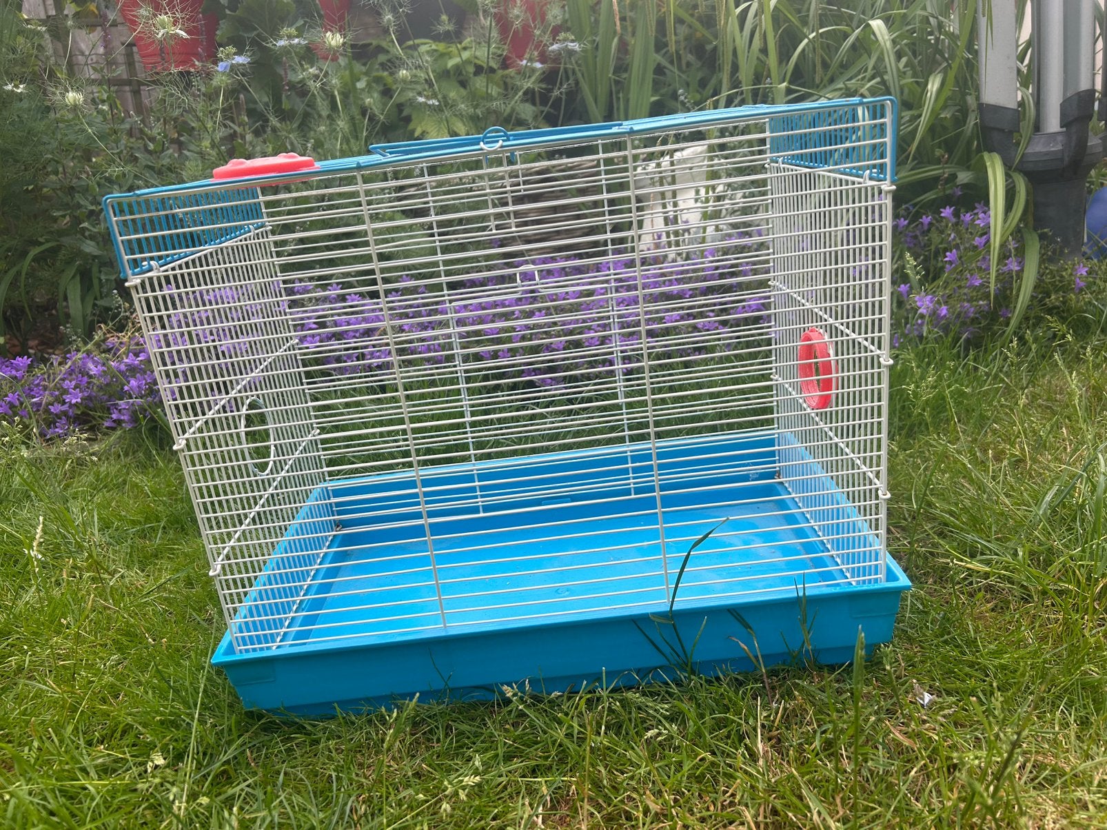 Twee grote hamsterkooien, Dieren en Toebehoren, Knaagdieren en Konijnen | Hokken en Kooien, Minder dan 60 cm, Kooi, Minder dan 75 cm