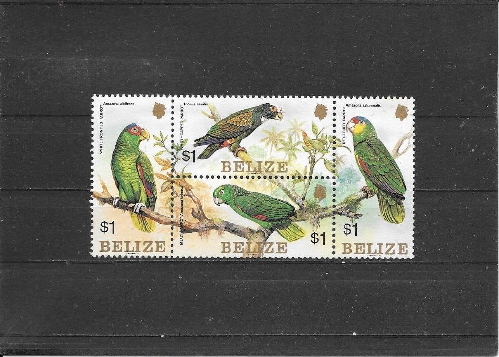 Belize vogels, Postzegels en Munten, Ophalen of Verzenden, Postfris, Midden-Amerika