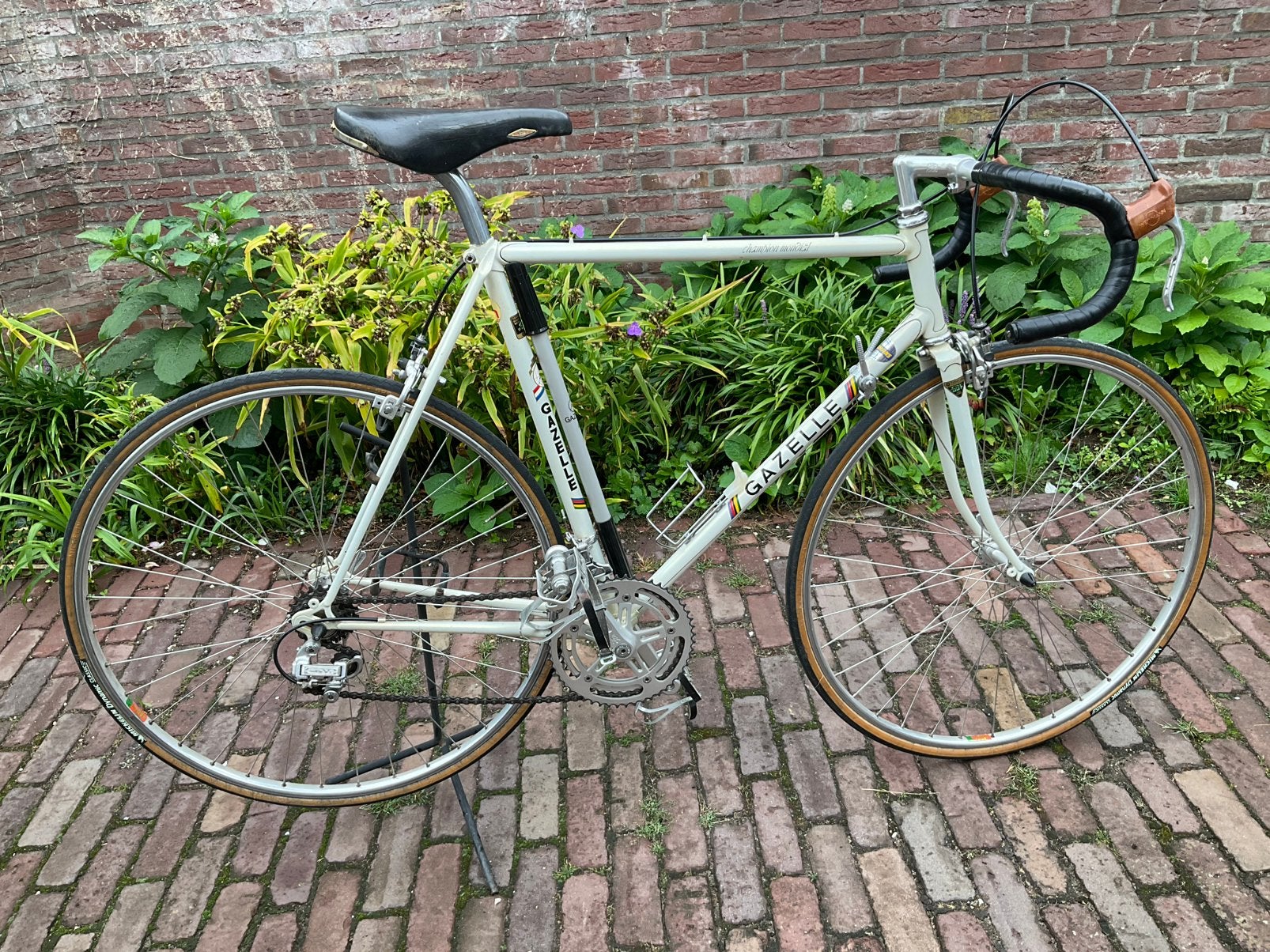 Gazelle Champion Mondial, Ophalen, Zo goed als nieuw, 57 tot 61 cm, Gazelle