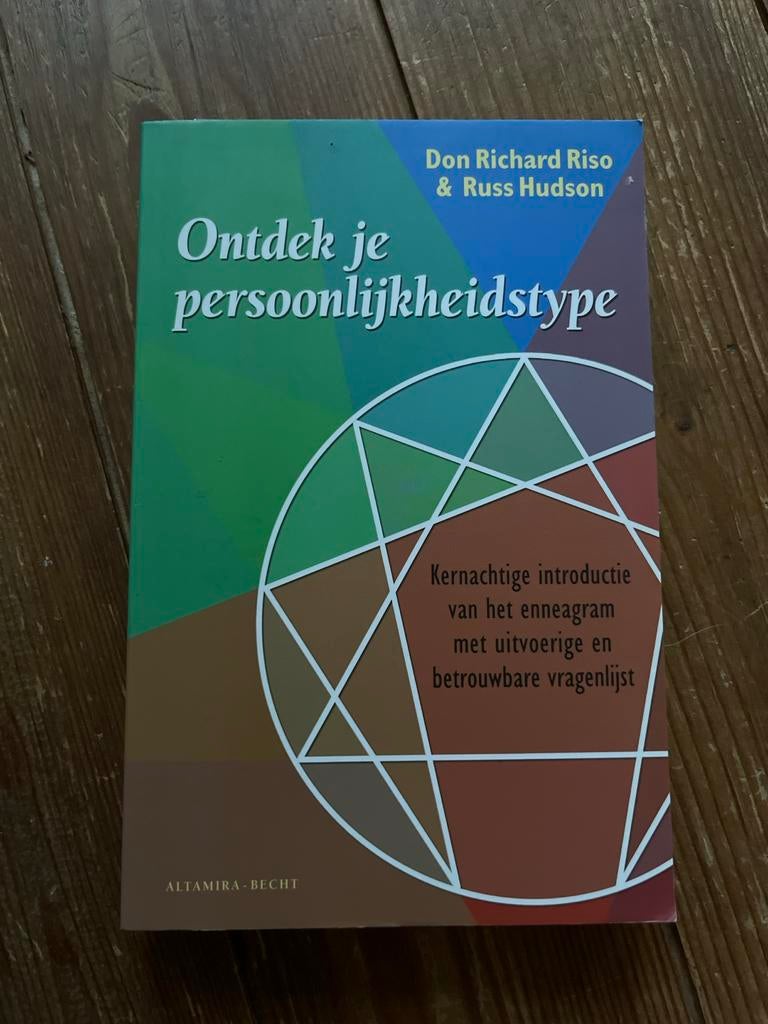 Ontdek je persoonlijkheidstype - Riso & Hudson, Ophalen of Verzenden, Nieuw, Persoonlijkheidsleer