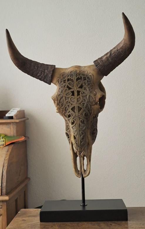 Skull op voet van herkouwer, Ophalen, Zo goed als nieuw