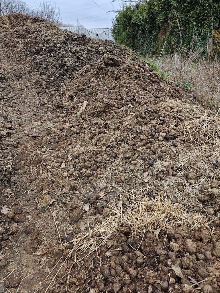 Paardenmest - Gratis af te halen!, Ophalen, Mest