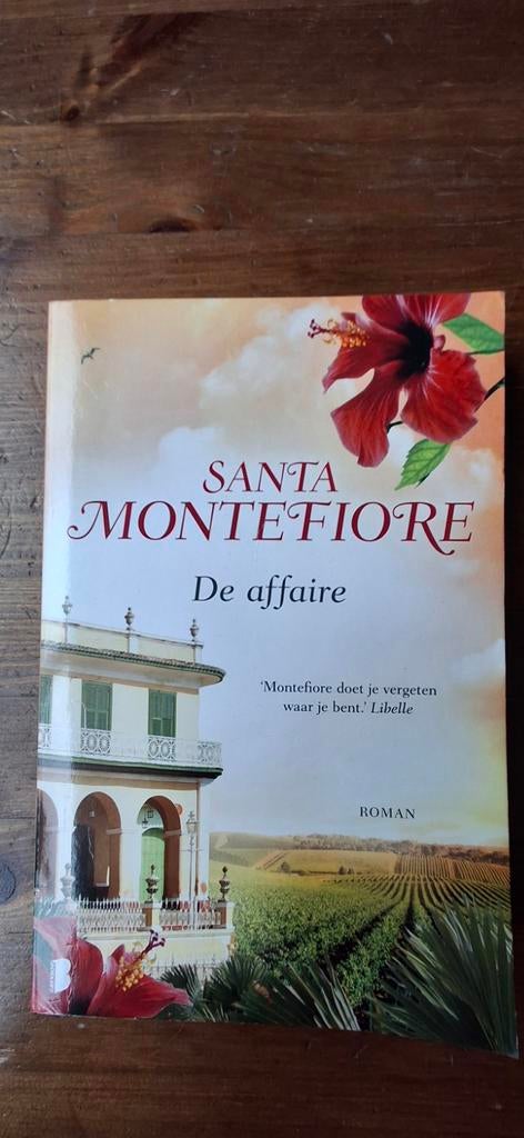 De affaire - Santa Montefiore, Ophalen of Verzenden, Gelezen