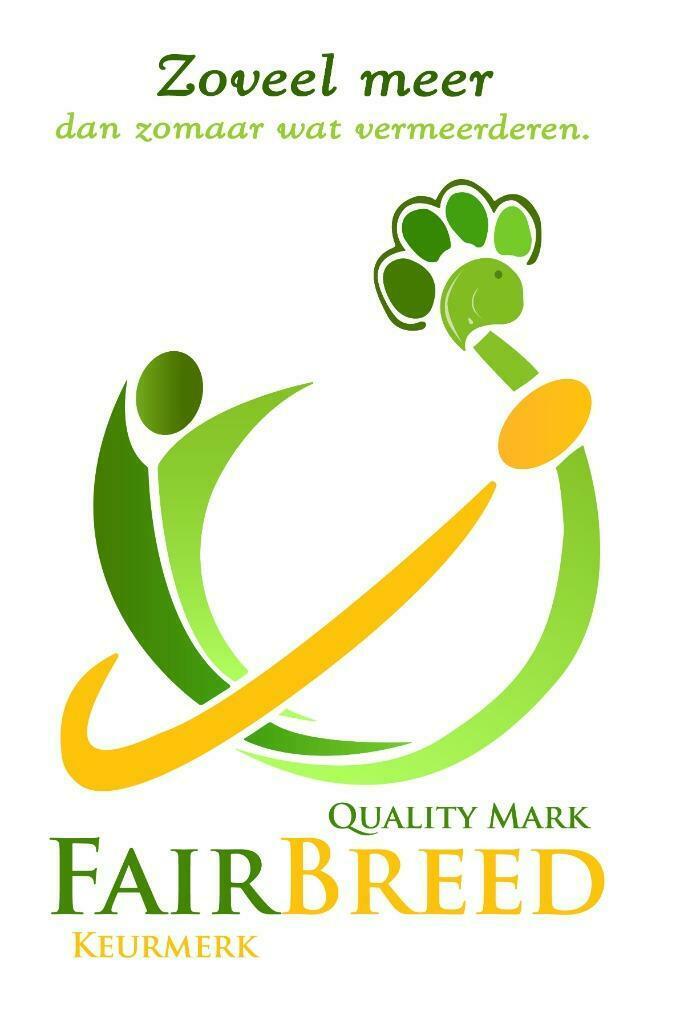 Keurmerk FairBreed, Nederland, 8 tot 15 weken, Parvo, Meerdere