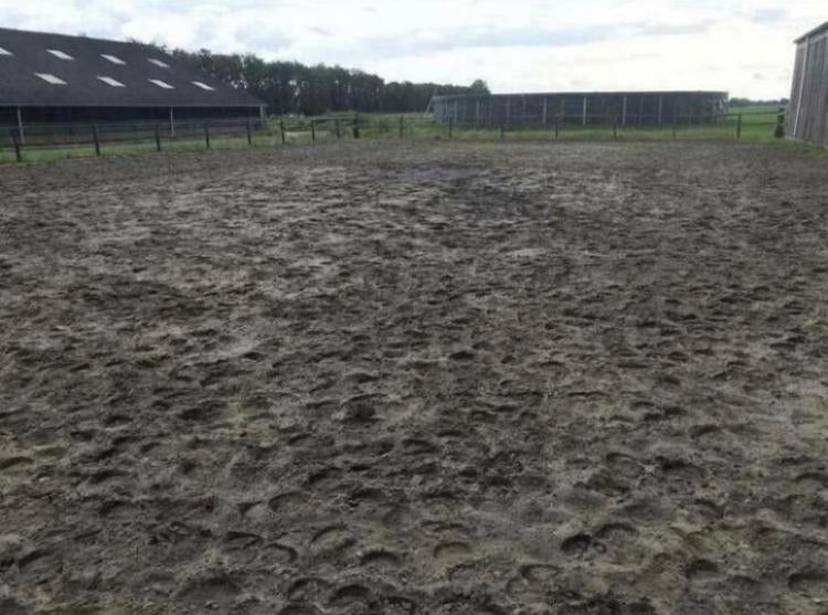 Foto 10 van Manegevlakker Baksleel Bodemvlakker voor zitmaaier of Quad