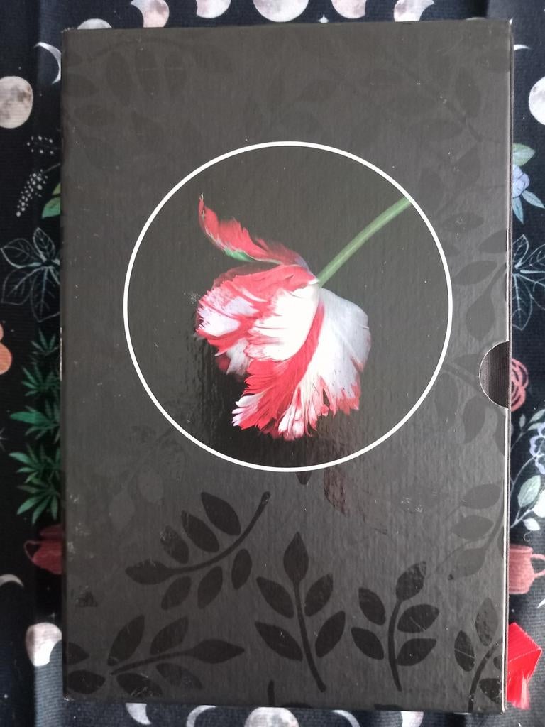 Nieuwe maan, special edition, Stephenie Meyer, Boeken, Fantasy, Verzenden, Zo goed als nieuw, Stephenie Meyer