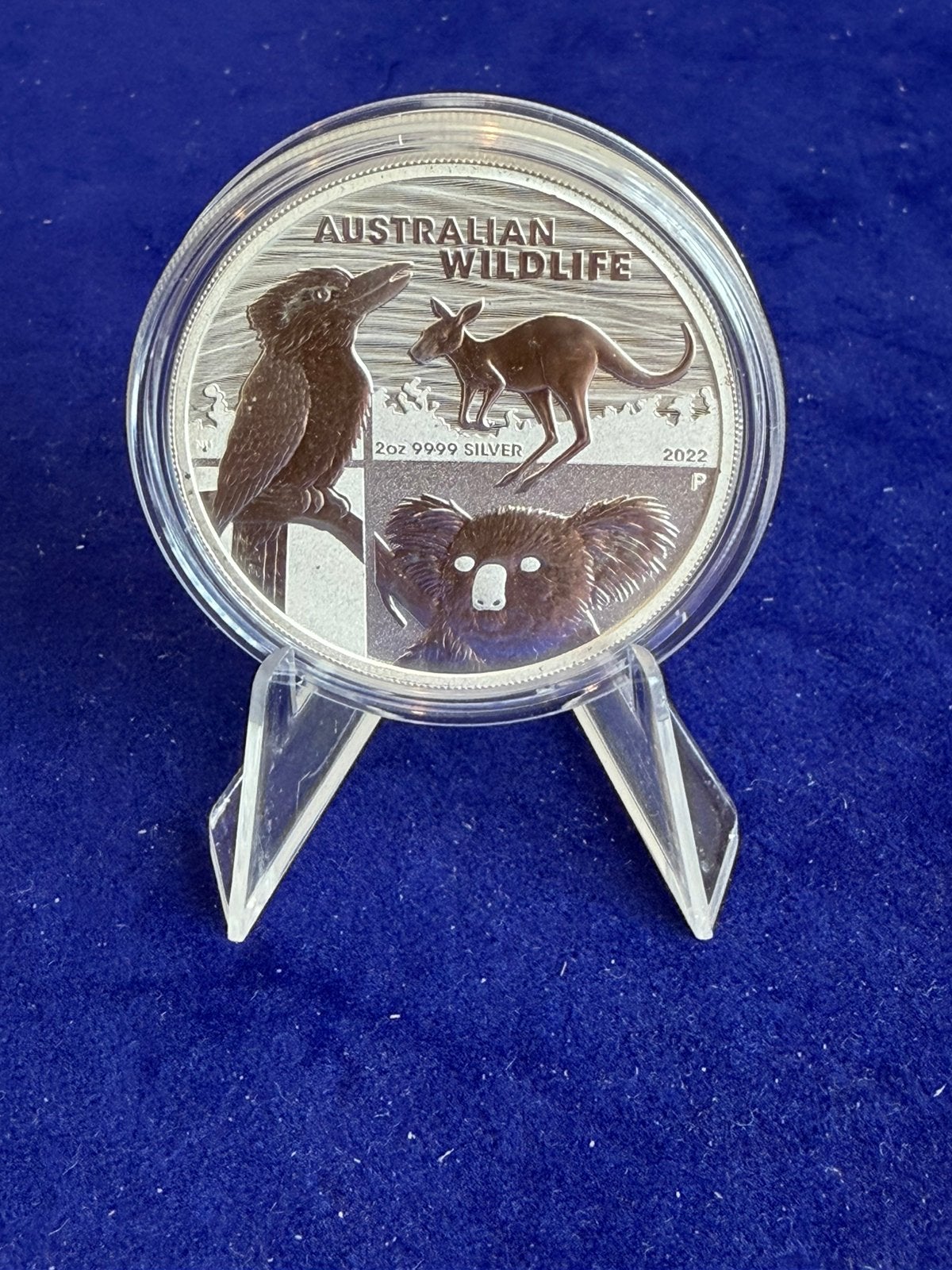 Australien wildlife 2 oz zilver in capsule, Ophalen of Verzenden, Zilver