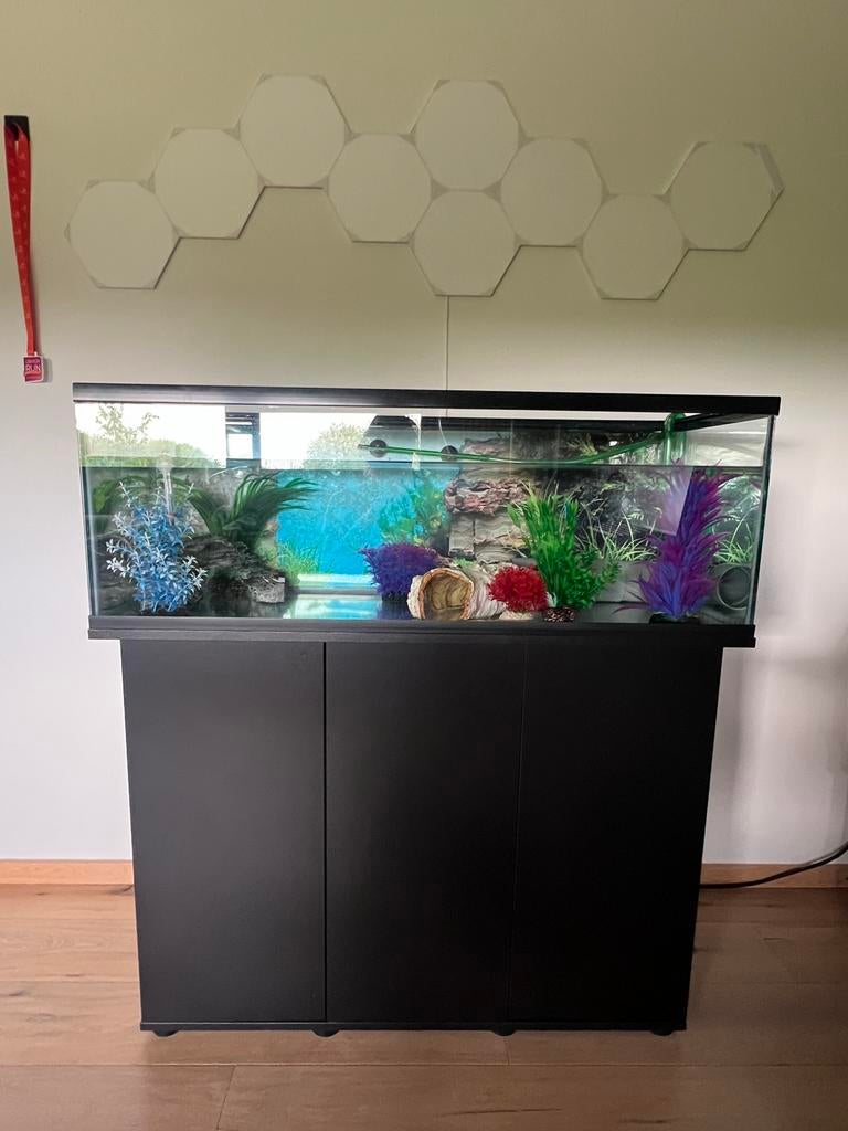 Aquarium + kast + toebehoren, Ophalen, Verwarming, Zo goed als nieuw, Leeg aquarium