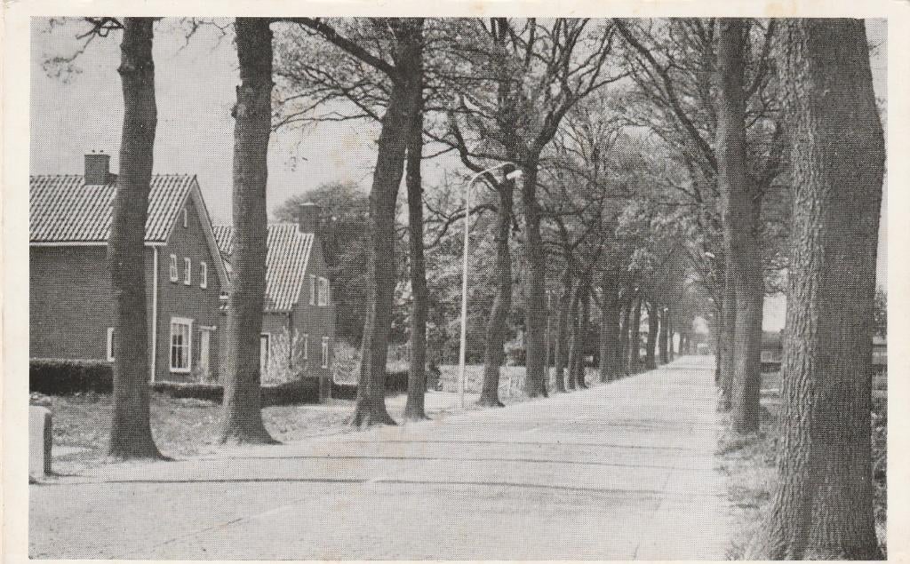 tuk- steenwijkerwold- rijksweg, Ophalen of Verzenden, Friesland