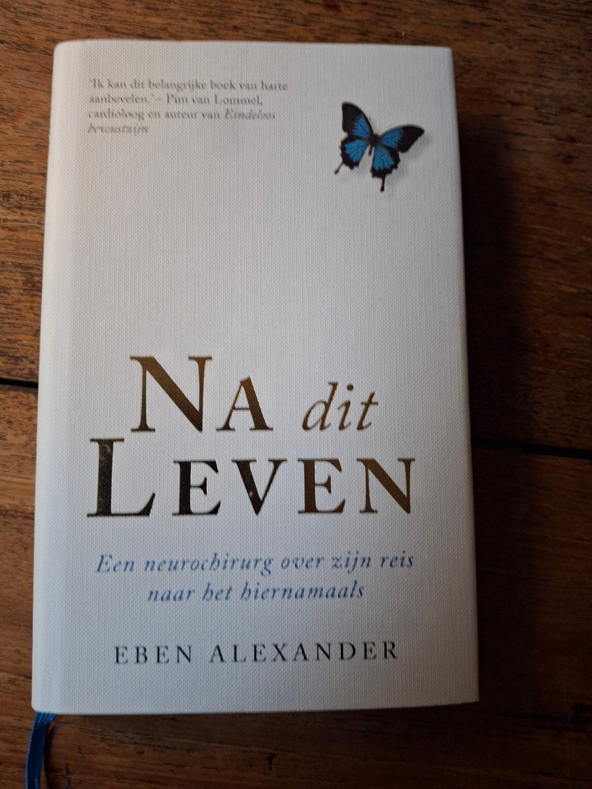 Eben Alexander - Na dit leven, Achtergrond en Informatie, Ophalen of Verzenden, Zo goed als nieuw, Eben Alexander