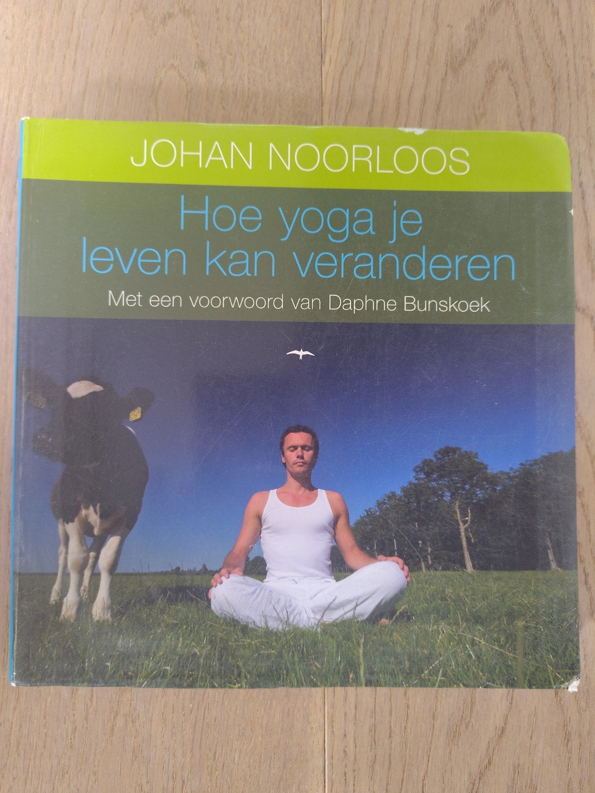 Johan Noorloos - Hoe yoga je leven kan veranderen, Ophalen of Verzenden, Zo goed als nieuw, Johan Noorloos