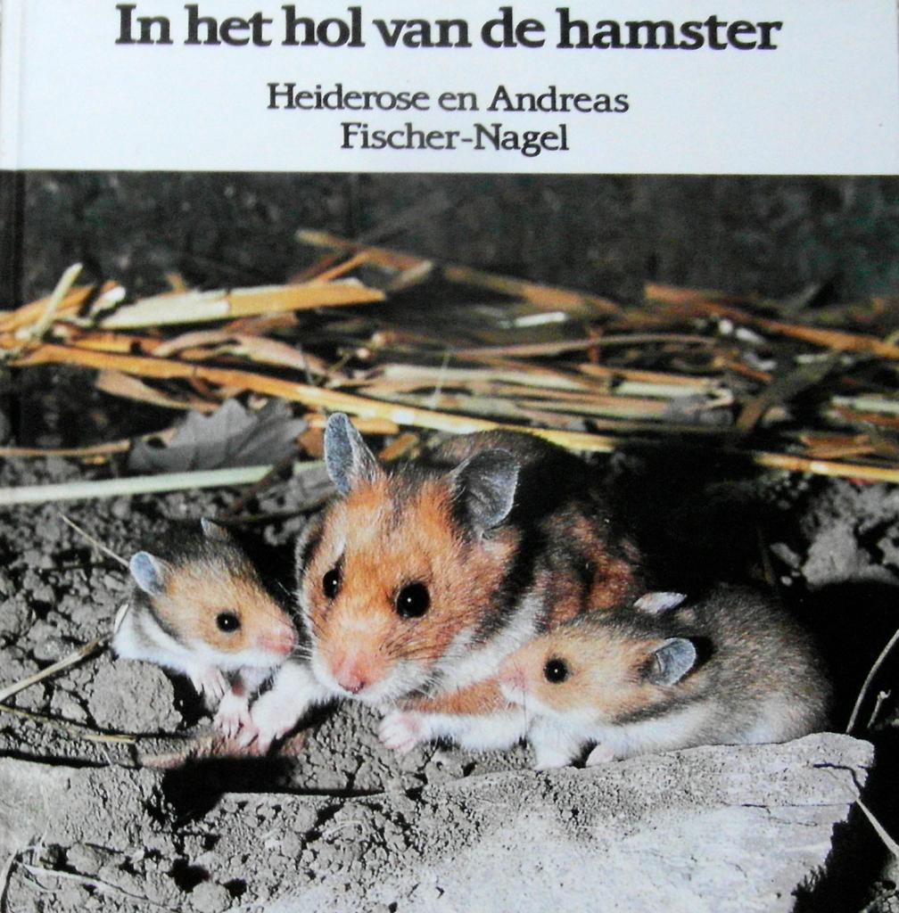 In het hol van de hamster, Ophalen of Verzenden, Zo goed als nieuw, Vogels