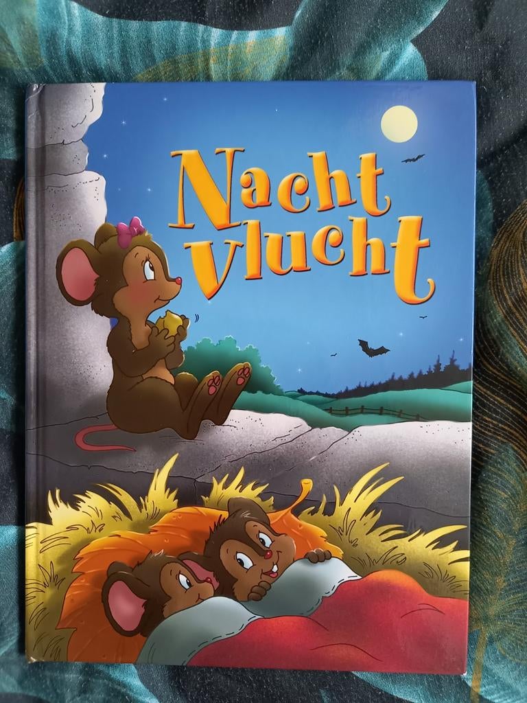 Mooi boek: Nachtvlucht, Boeken, Ophalen of Verzenden, Gelezen