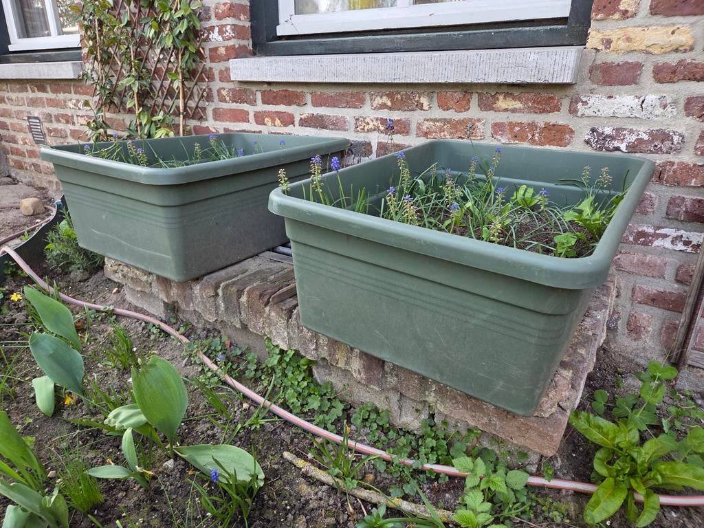 Elho Greenbasics Moestuin op Wielen Blad Groen (4 stuks), Ophalen, Kunststof, Nieuw, Balkon