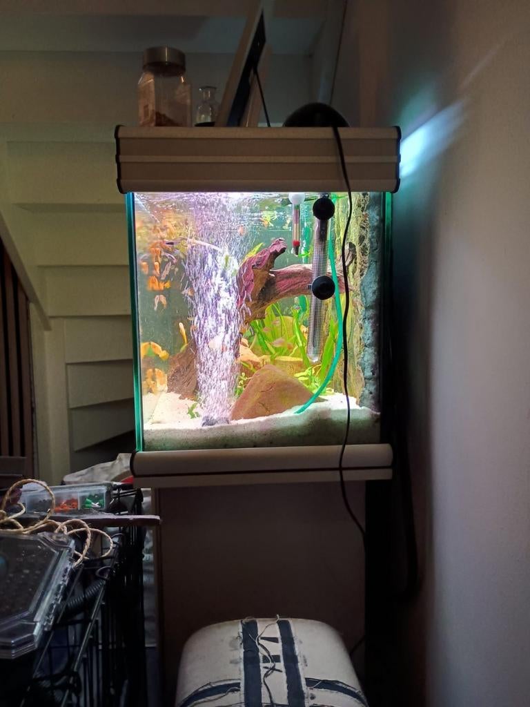 Te koop aquarium, Dieren en Toebehoren, Ophalen, Zo goed als nieuw