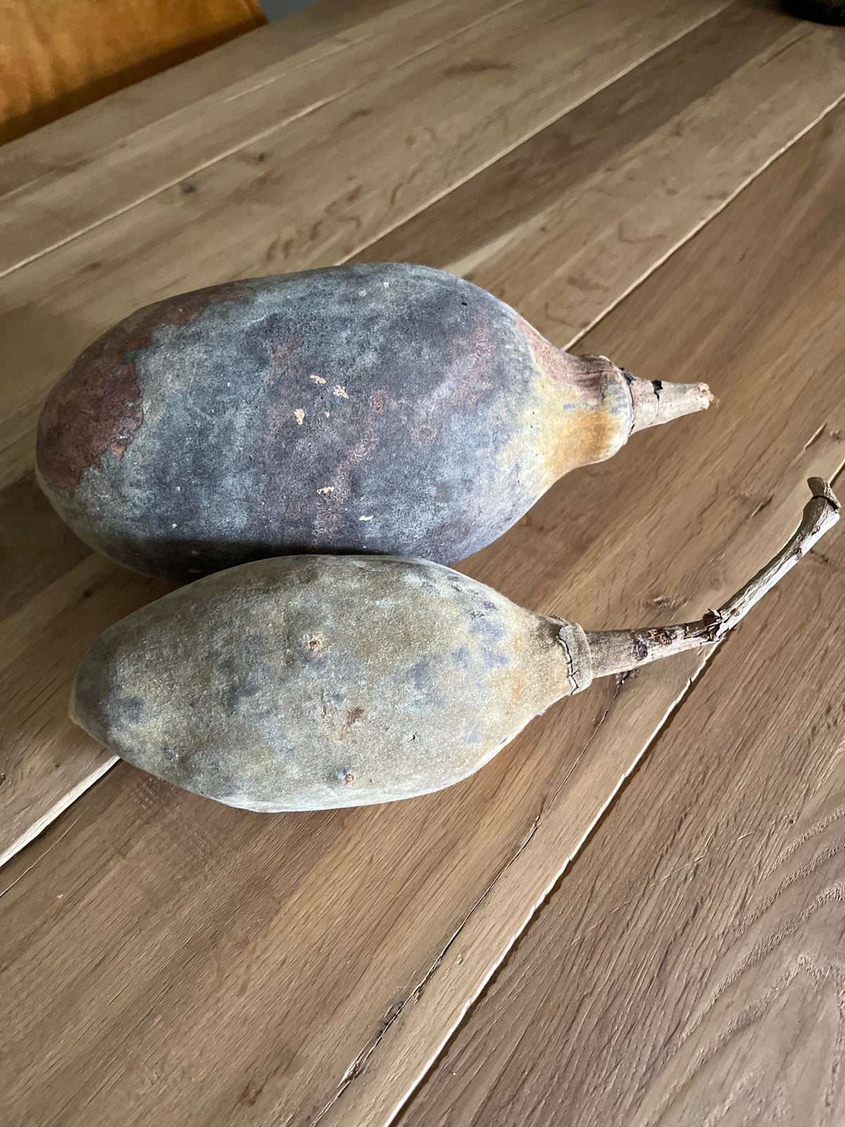 Decoratieve Baobab Vruchten - Natuurlijke Woondecoratie, Ophalen of Verzenden