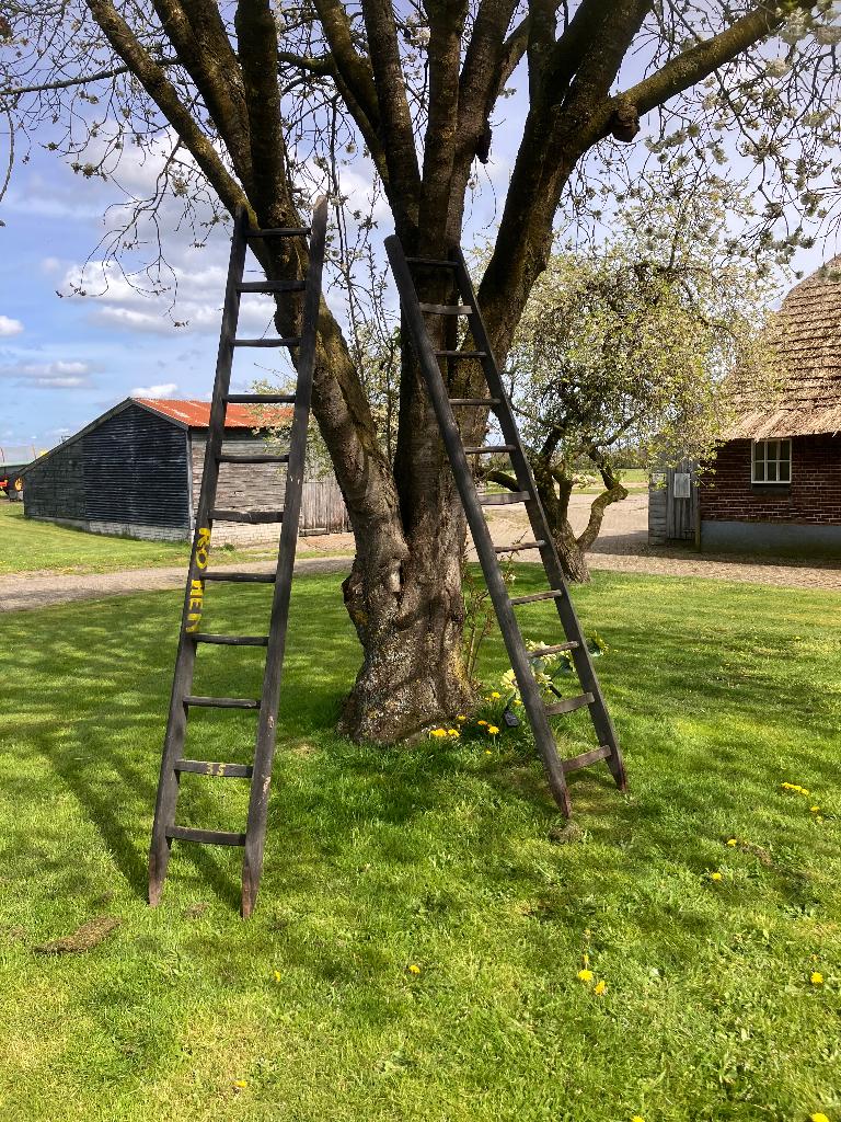 fruitladder plukladder broccante antiek backdrop, Ophalen