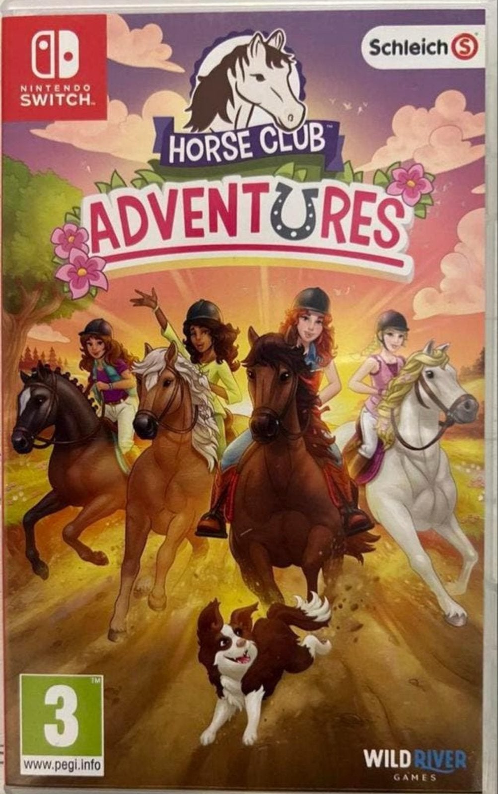 Horse Club Adventures Nintendo Switch, Ophalen of Verzenden, Zo goed als nieuw, Met 1 controller, Switch Original