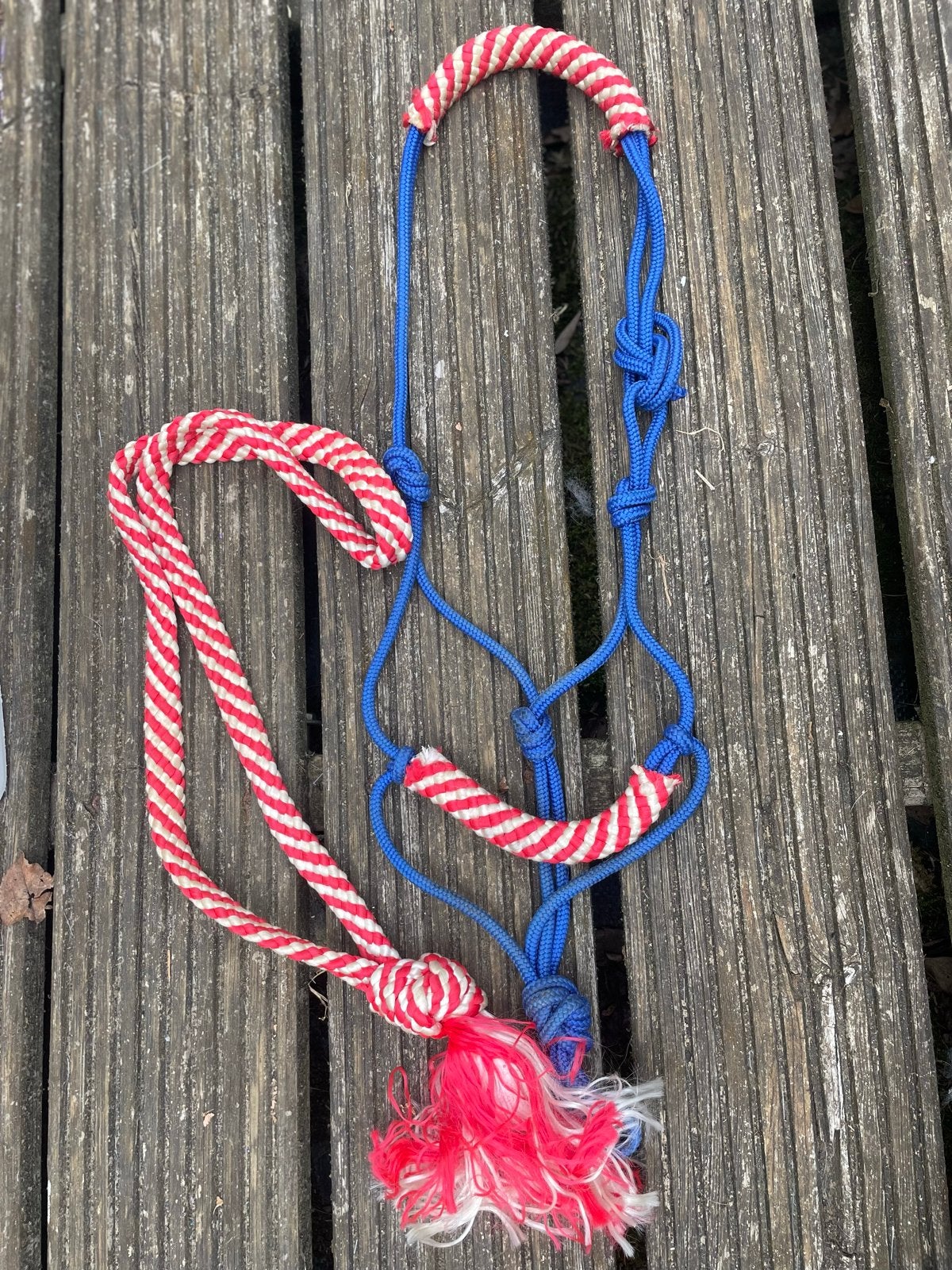 Touwhalster + neckrope rood/wit/blauw maat pony, Dieren en Toebehoren, Overige disciplines, Blauw, Neckrope, Ophalen of Verzenden