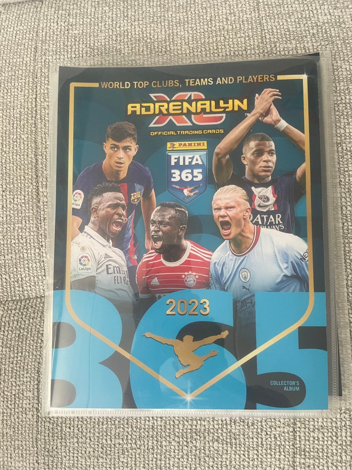 Panini Adrenalyn XL FIFA 365 Collectie - Voebalplaatjes, Ophalen of Verzenden, Zo goed als nieuw, Buitenlandse clubs, Poster, Plaatje of Sticker