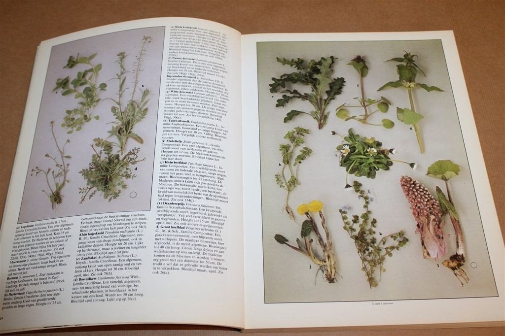 Wilde Bloemen — Natuurgids met 1000 Soorten in Kleurenfotos, Ophalen of Verzenden, Gelezen, Bloemen, Planten en Bomen