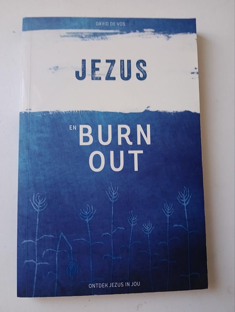 David de Vos - Jezus en burn-out, Boeken, Ophalen of Verzenden, Zo goed als nieuw, David de Vos