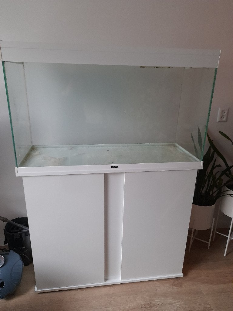 Aquarium, Ophalen, Gebruikt, Overige merken, Leeg aquarium