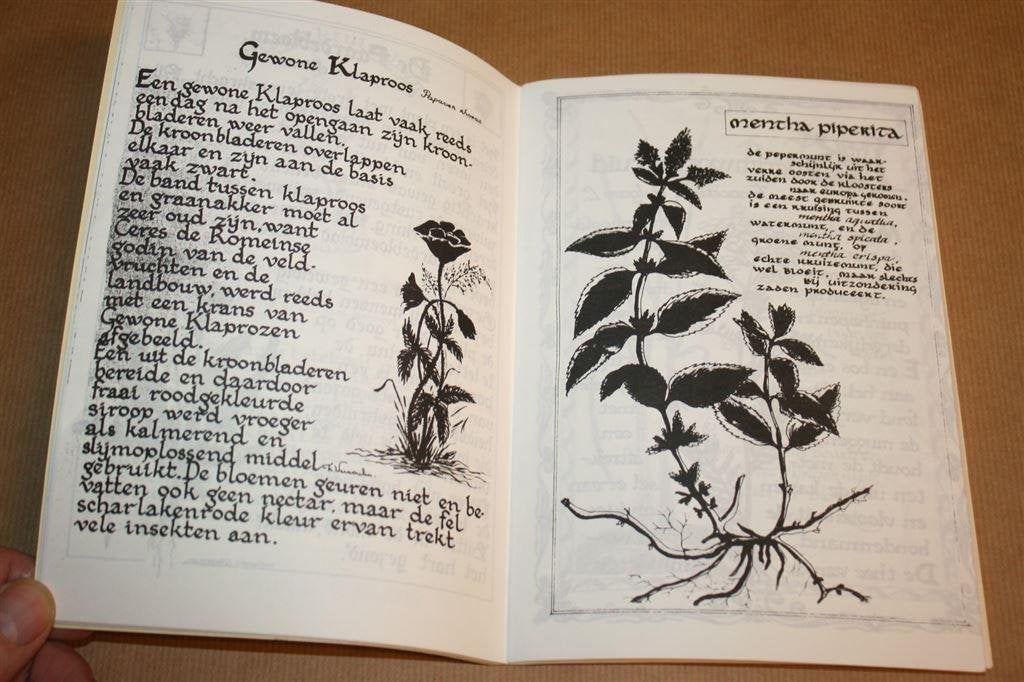 Kruiden en huiden. Kalligrafie tentoonstelling, Boeken, Ophalen of Verzenden, Gelezen, Bloemen, Planten en Bomen