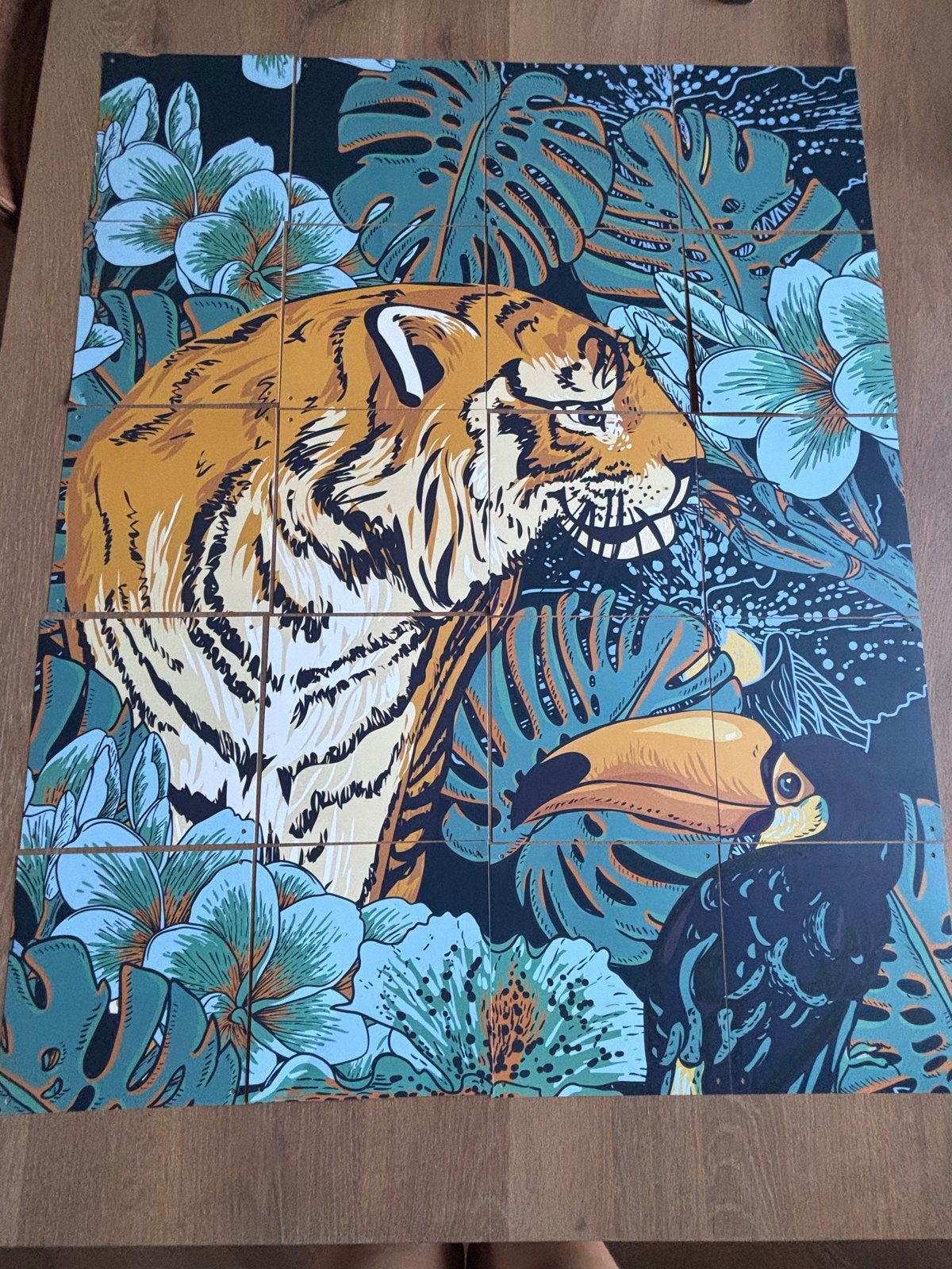 IXXI Dubbelzijdige poster (60x80cm) met ophangbenodigdheden, 50 – 75, Gebruikt, Ophalen of Verzenden, Foto of Poster